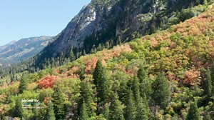 Stunning Autumnal Views of Utah's Wasatch Mountains, Captured From Above, Part 1