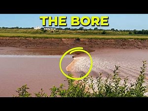 What Causes Tides? The Bay of Fundy Tidal Bore Explained | Moncton New Brunswick | Ep 26