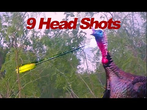 Turkey "HEAD SHOTS", BOW!!