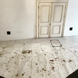 14K views · 799 reactions | A very secret window at the back of the...