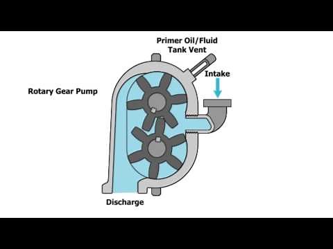 Rotary Gear Pump Animation