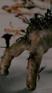 407K views · 29K reactions | 練Bestiario #19 | Biología del Hongo Necrofágico‍ - Splinter. . . . . . . . . . . . . . #splinter #película #movie #biologia #analisis | ChamoGutierrez | Facebook