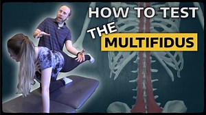 HOW TO TEST THE MULTIFIDUS