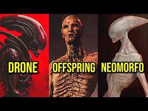 TODOS OS TIPOS DE XENOMORFO DA SAGA ALIEN EXPLICADOS! - INCLUINDO NEOMORFO, OFFSPRING, PROTOMORFO...