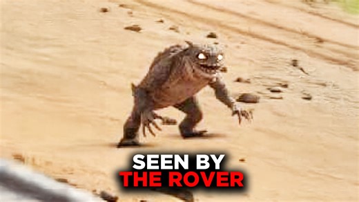 Scientists Found Creatures That Can Survive in Outer Space #creature #space #anomaly | Most Amazing ELITE