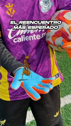 SOMEONE'S BACK 🐜 ⚽️ #football