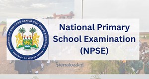 WAEC Publishes Final Timetable for 2025 NPSE Examination