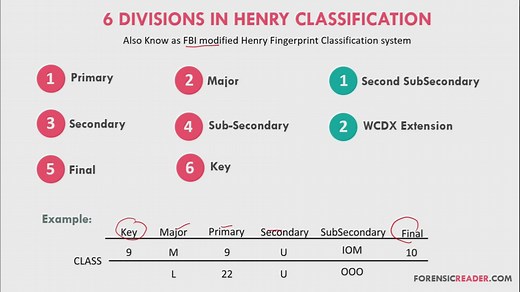 21  Forensic Questioned Document Instruments & Tools   Uses