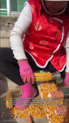 Manual Corn Kernel Removal Using a Gear-Driven Tool