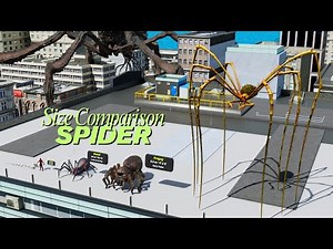 Spider Size Comparison 3D | Smallest to Largest Spiders in the World!