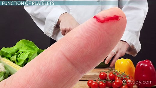 You must c C reate an account to continue watching