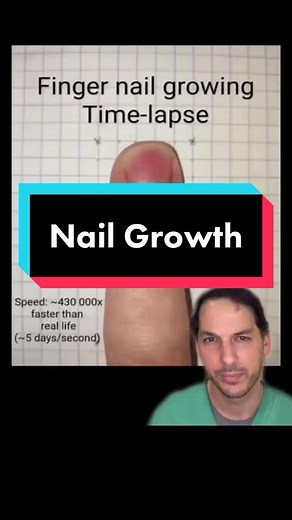 Nail Growth Process: Time, Speed, and Regrowth
