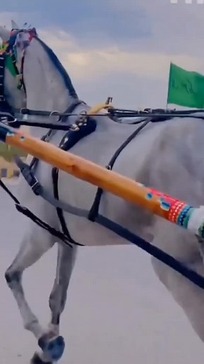 #mashallah #foryoupage #viral_video #viraltiktok #viralvideo #fouryou #foryou #viral