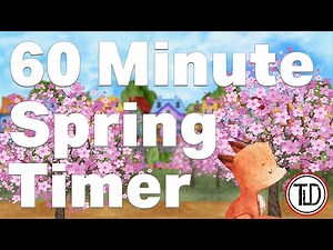 60 Minute Spring Timer | 1 Hour Spring Timer (2022)