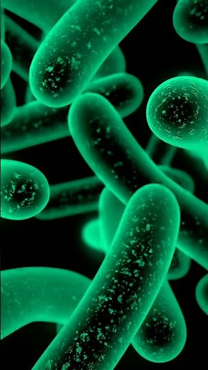 Tooth Abscess Stages: A Comprehensive Guide