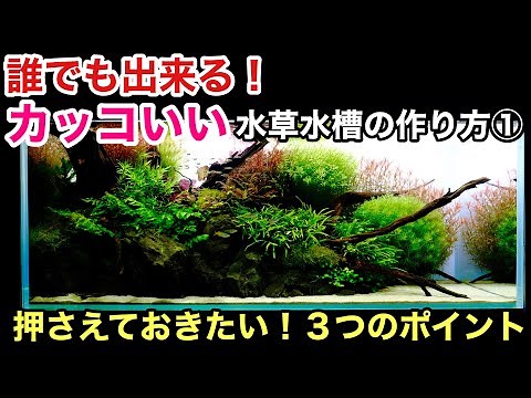 かっこいい水草水槽の作り方①構図編 ADAネイチャーアクアリウム立ち上げ初心者、流木、石組みレイアウトデザイン、△構図、凸型構図、凹型構図、