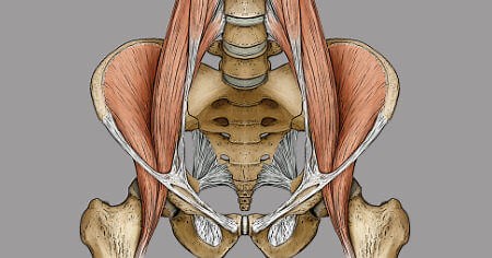 The Psoas Muscle: Ultimate Guide Updated
