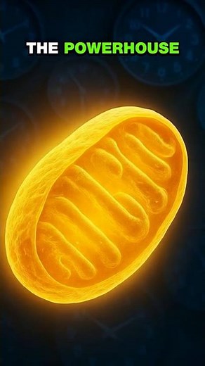 How Blue Light Could Be Damaging Your Eyes—The Science Explained