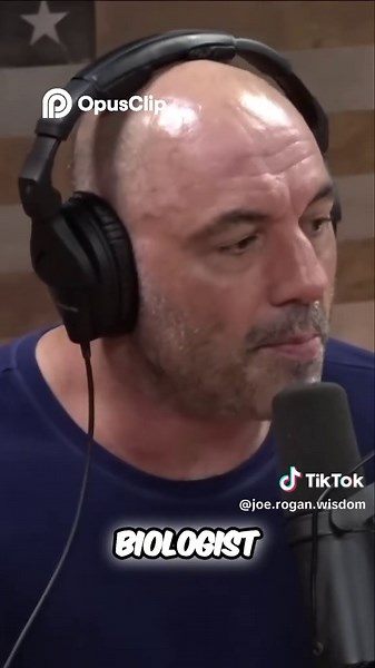 Monkeys & Chimps Entering the Stone Age Wild Primates Using Tools! #joerogan #podcastclips