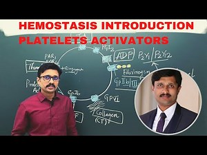 3. Hemostasis Introduction: Platelets Activators and Inhibitors: Platelets Glycoprotein Receptors.