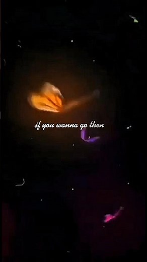 alec benjamin - let me down slowly [ slowed reverb ] (lyrics)