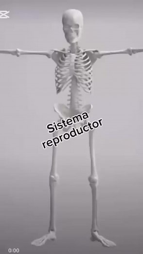 Sistema Reproductor: Salud Masculina y Femenina