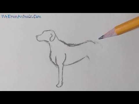 How to Draw a Dog In 5 EASY Steps - GREAT for Kids & Beginners