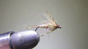 Hendrickson Soft Hackle
