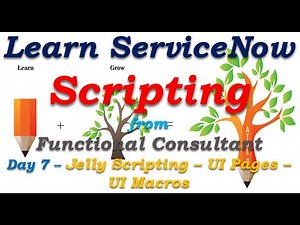 Day7 | ServiceNow Scripting - Jelly Script - UI Pages - UI Macros | Learn From Functional Consultant
