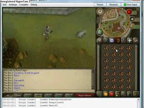 RSBot + cracked arbi scripts, download in description