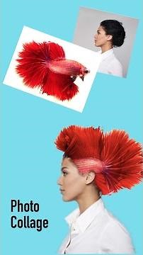 Photoshop Express tutorial - Photo collage