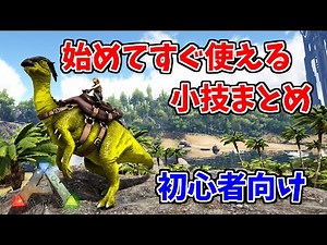 【ARKゆっくり解説】始めてすぐ使える初心者向け知識集