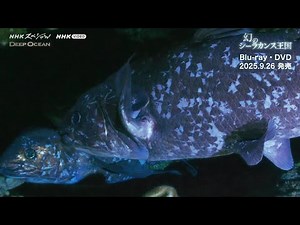 NHKスペシャル ディープオーシャン 幻のシーラカンス王国 PR動画
