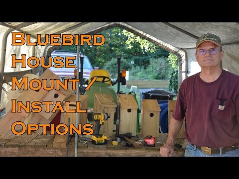 How to mount a Bluebird House, Install methods