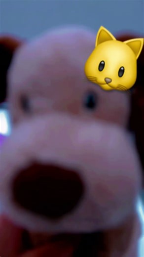 This is a puppy I don’t have plushy kitty sorry ￼