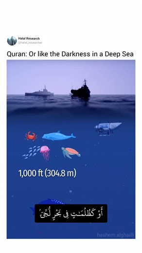 Halal research on Instagram: "Who went into that depth of sea and came back alive 1400 years ago to confirm this fact ?"