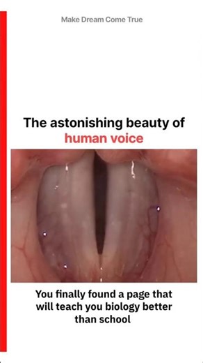 🎙️This is how 👅 human voice works 💨 | MDCT