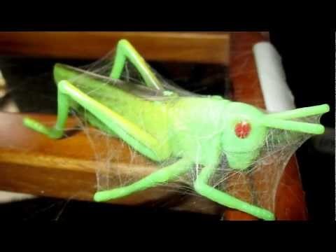 How to Make a Spider Web