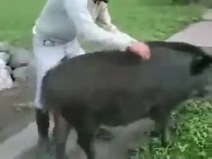 5.2K views · 108 reactions | "Beginners can drive fast on a straight line. Intermediate drivers can master corners. But truly advanced drivers find their own course...and that's how they get ahead." | Lonely Drivers | Facebook