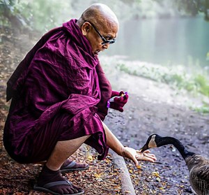 Squats for seniors [Technique and progression]