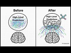 Your Brain is a Projector: The Neuroscience of Reality & Self