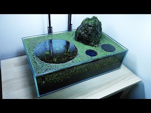 (New Setup) Volcano Filter Aquarium - YES filter, NO CO2, NO Ferts 7.6 Gallon Tank