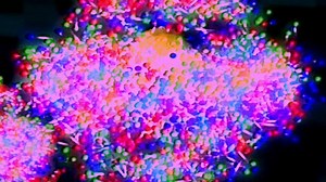 It's real science in one reel! http://scifri.me/video | Science Friday