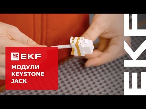 Информационные модули Keystone Jack
