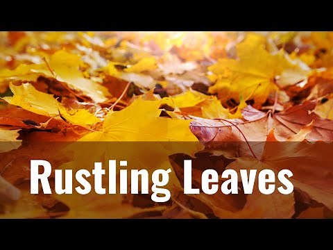 Leaves Rustling Sound Effect