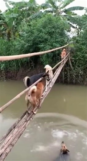 How to Redeem a Roblox Gift Card (2025 Guide) | Free Robux Tips!