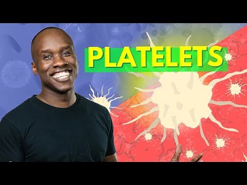 Thrombocyte/Platelet Structure and Function