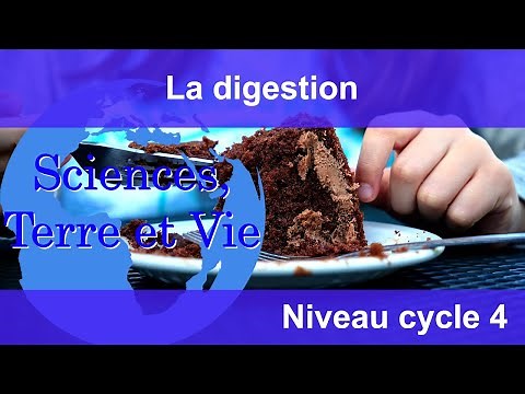 La digestion