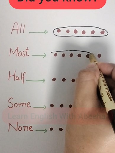 Understanding Quantifiers in English