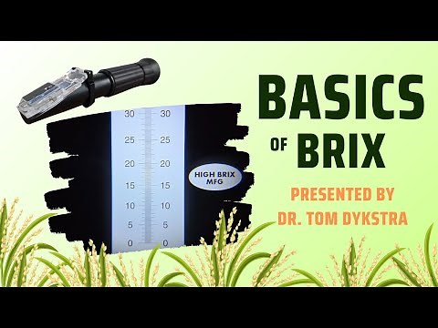 Basics of Plant Brix - The Leaf Brix Chart - Dr. Tom Dykstra